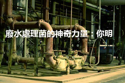 廢水處理菌的神奇力量：你明白它們有多厲害嗎？